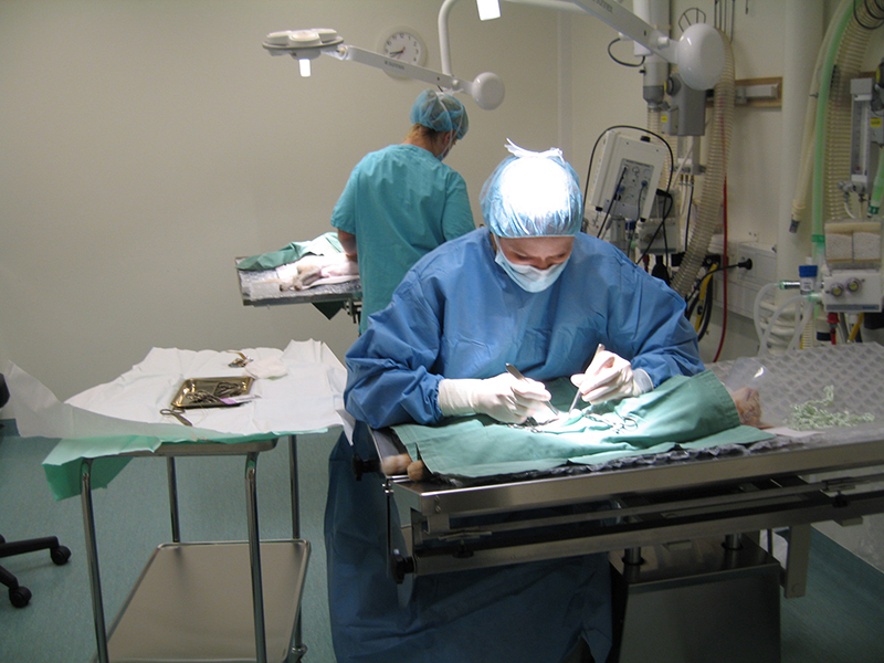 Operation pågår på oerationsavdelningen