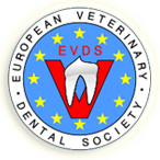 logo-evds